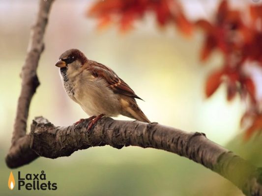 Välkommen till vår nya hemsida